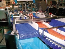 Bande transporteuse modulaire en plastique, acier ou inox